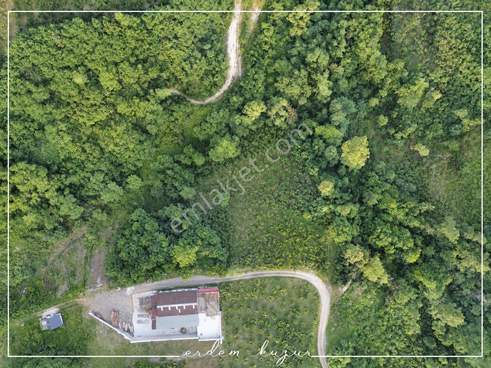 Trabzon Akçaabat Derecik Uğurlu'da Satılık 1.480 M2 Arazi — fotoğraf 4