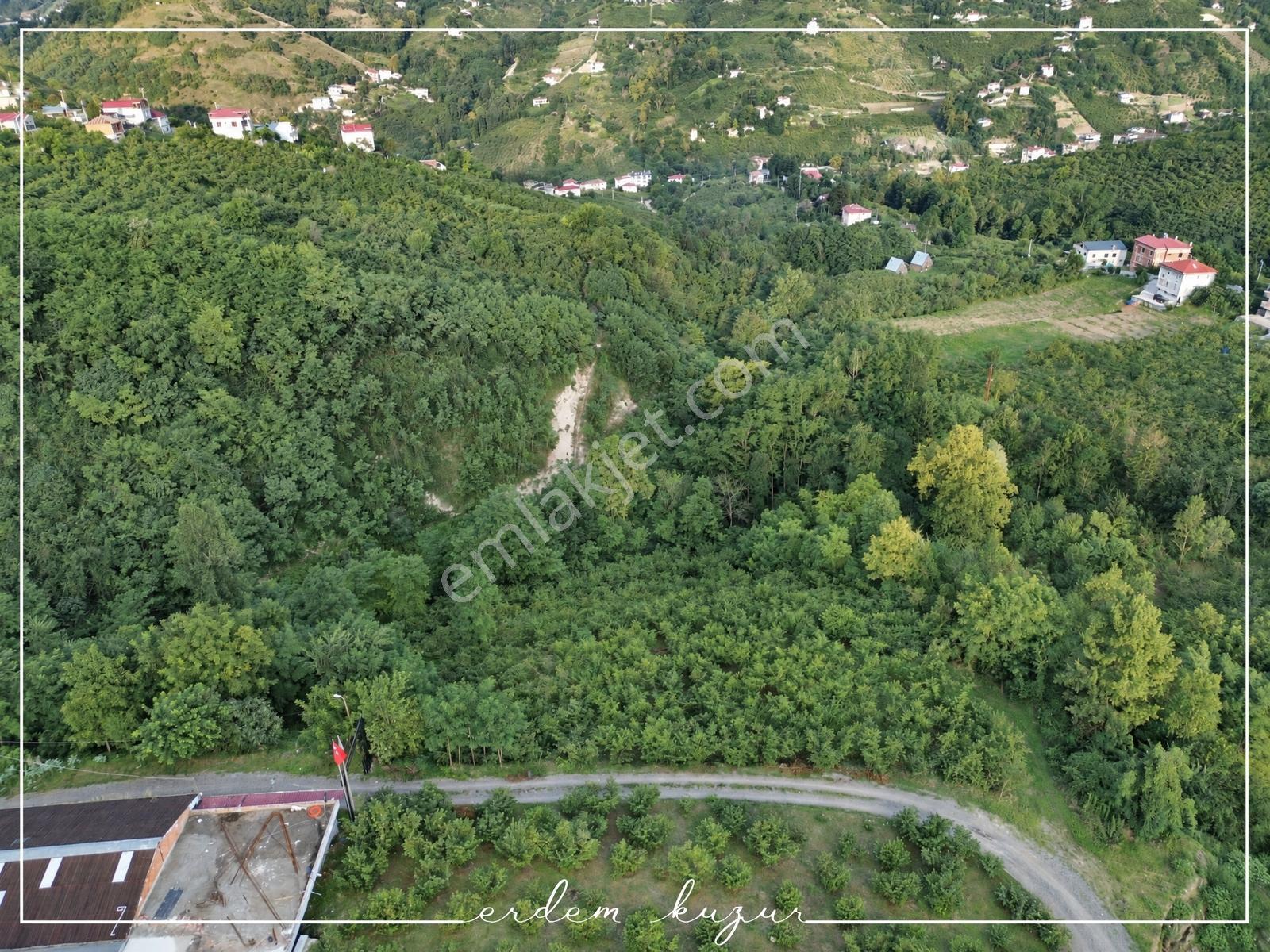 Trabzon Akçaabat Derecik Uğurlu'da Satılık 1.480 M2 Arazi — fotoğraf 5