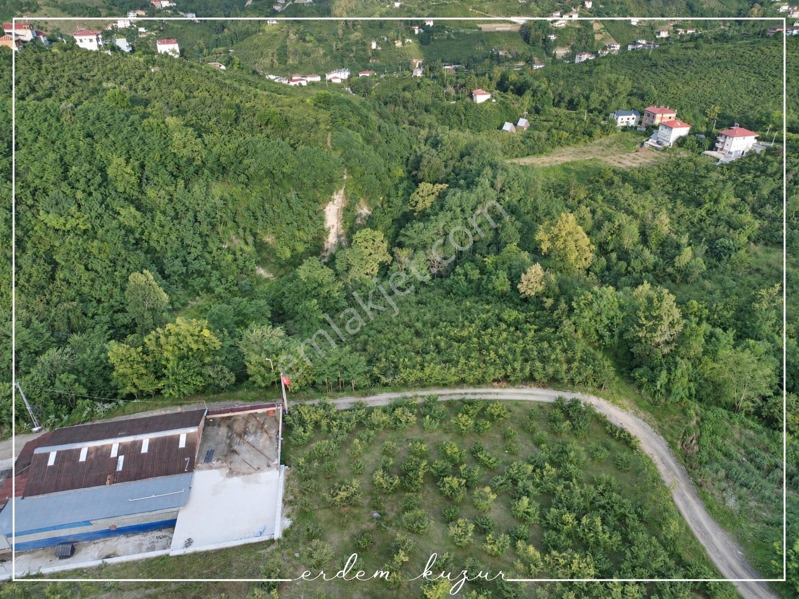 Trabzon Akçaabat Derecik Uğurlu'da Satılık 1.480 M2 Arazi — fotoğraf 6