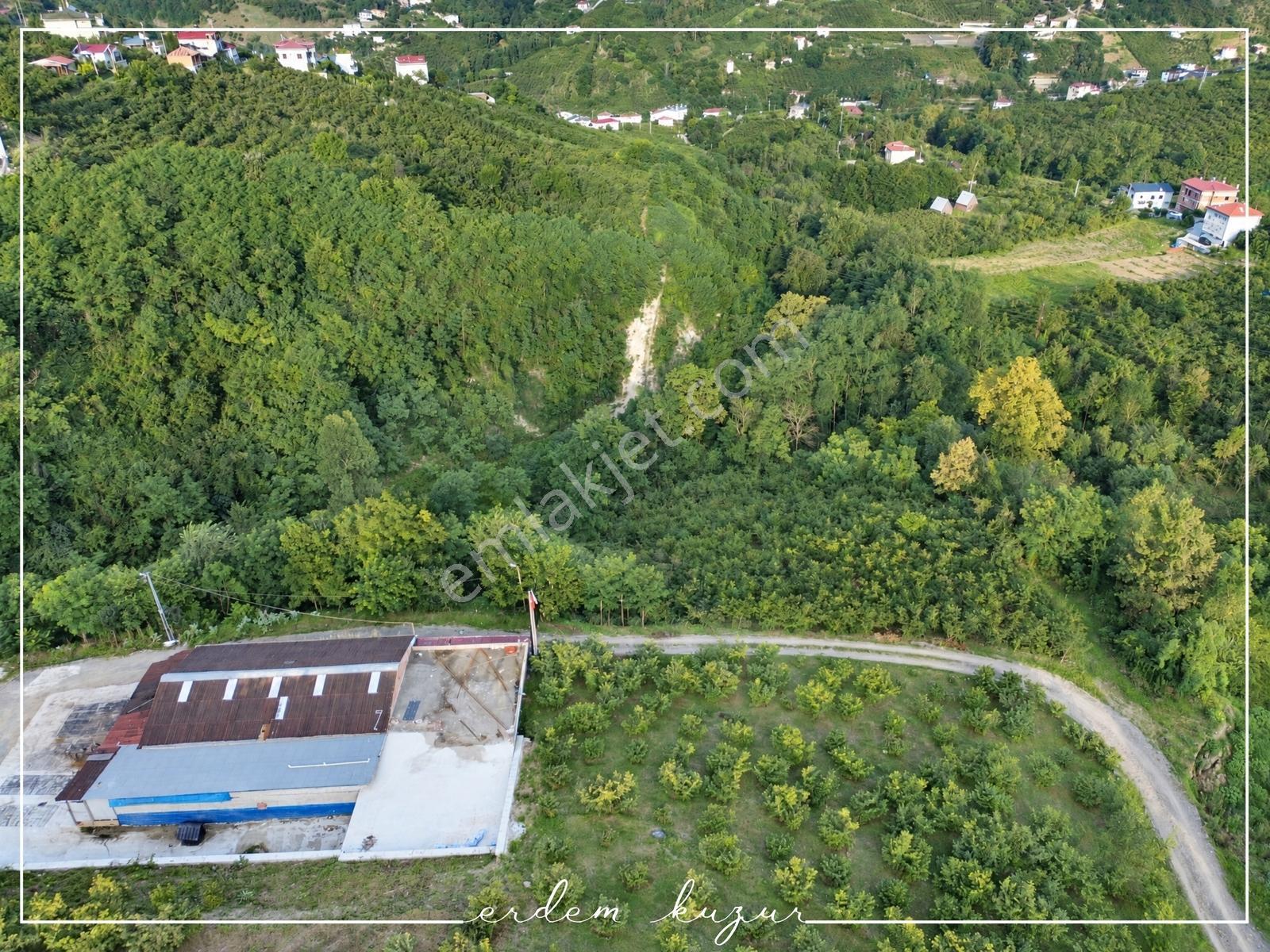 Trabzon Akçaabat Derecik Uğurlu'da Satılık 1.480 M2 Arazi — fotoğraf 7