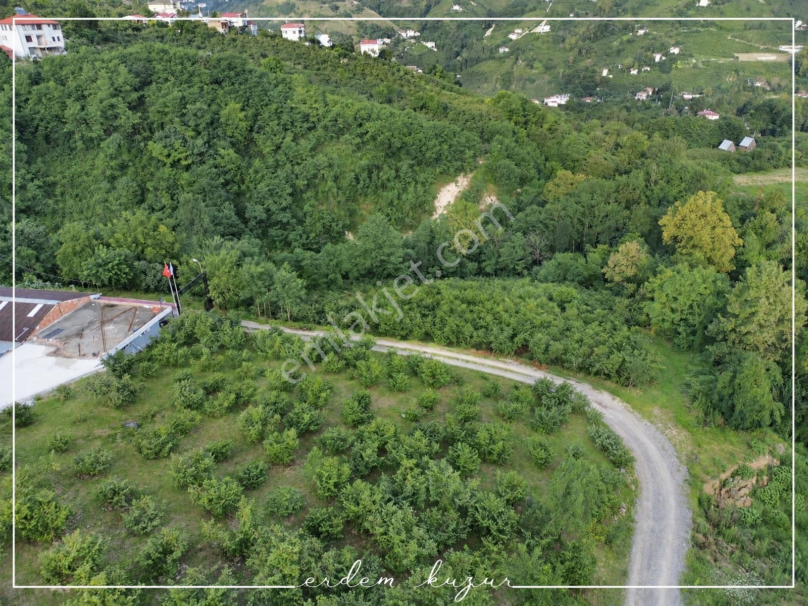 Trabzon Akçaabat Derecik Uğurlu'da Satılık 1.480 M2 Arazi — fotoğraf 8