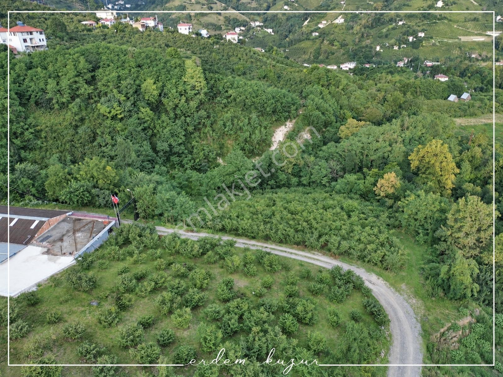 Trabzon Akçaabat Derecik Uğurlu'da Satılık 1.480 M2 Arazi — fotoğraf 9