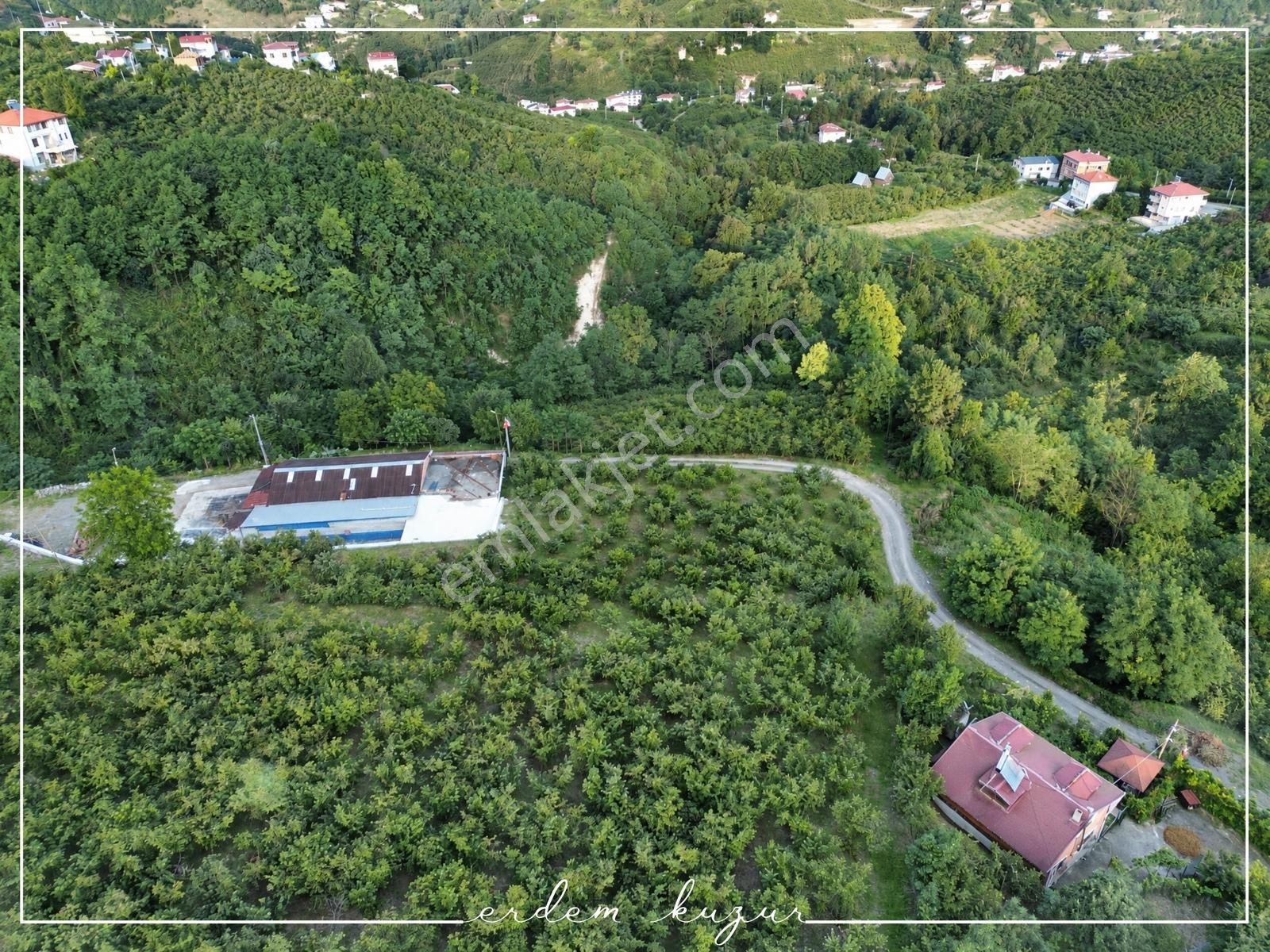 Trabzon Akçaabat Derecik Uğurlu'da Satılık 1.480 M2 Arazi — fotoğraf 11