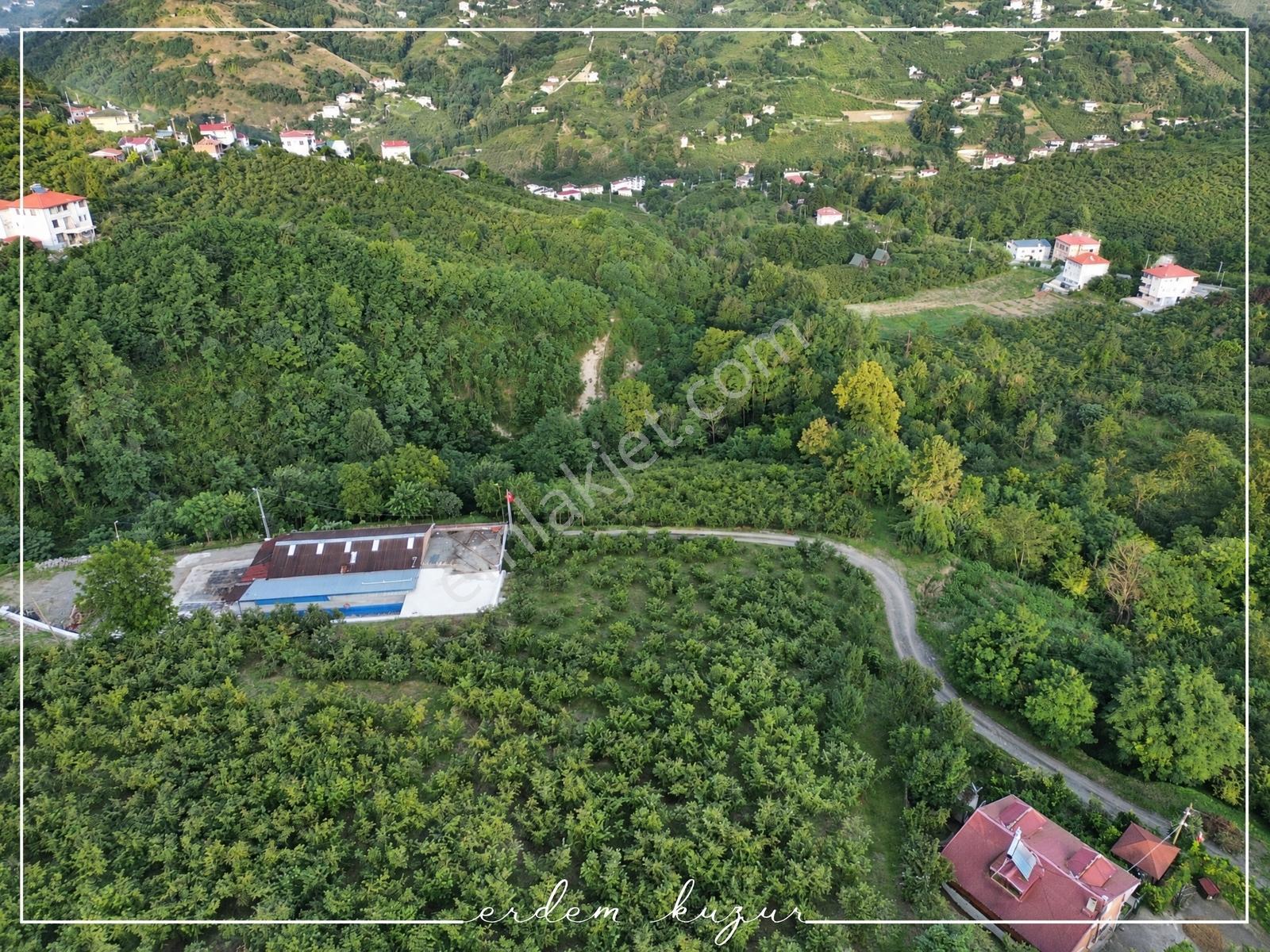 Trabzon Akçaabat Derecik Uğurlu'da Satılık 1.480 M2 Arazi — fotoğraf 12