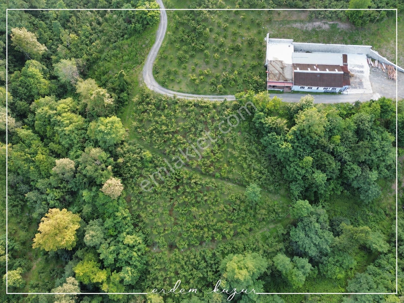 Trabzon Akçaabat Derecik Uğurlu'da Satılık 1.480 M2 Arazi — fotoğraf 13
