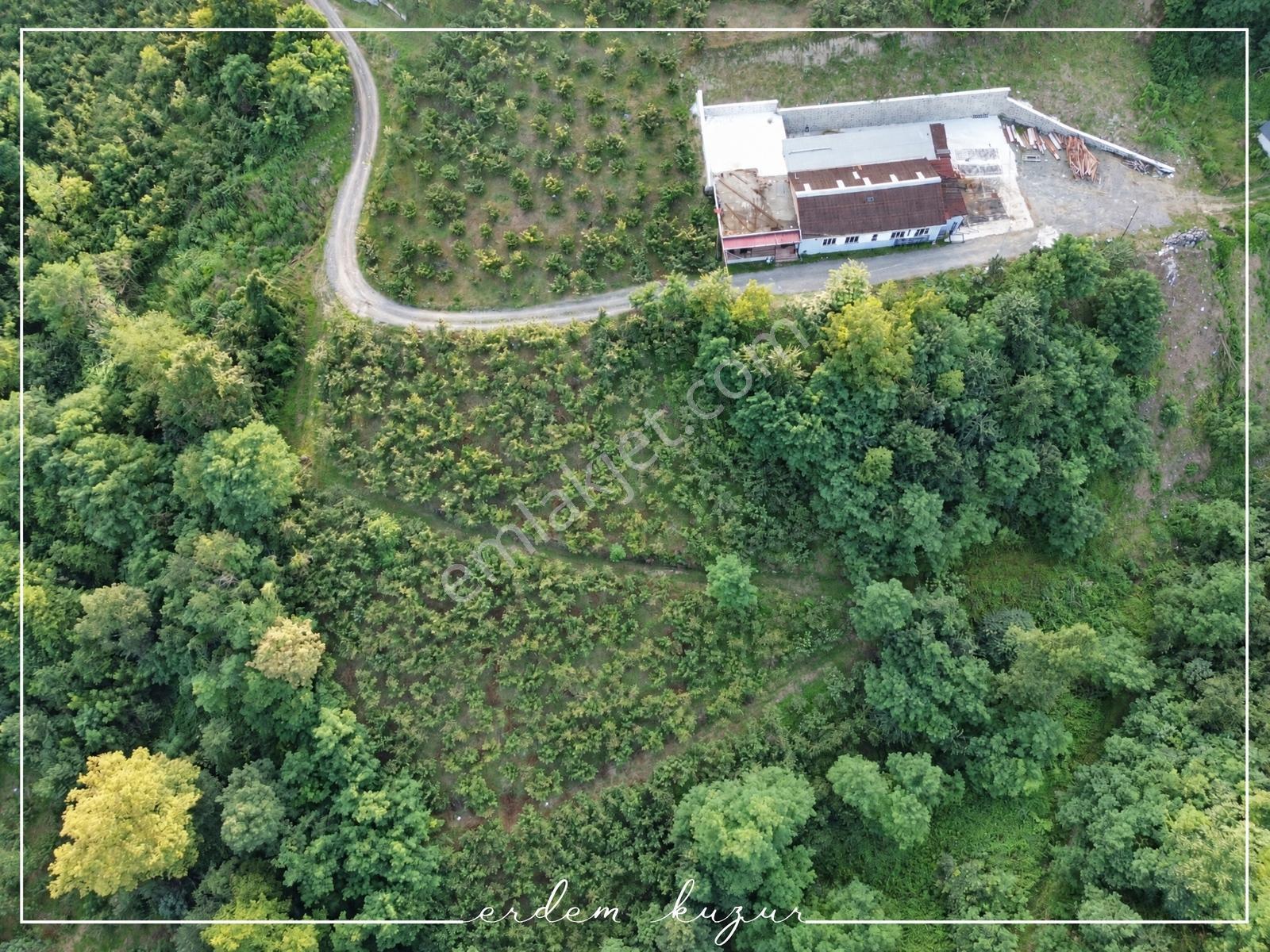 Trabzon Akçaabat Derecik Uğurlu'da Satılık 1.480 M2 Arazi — fotoğraf 14