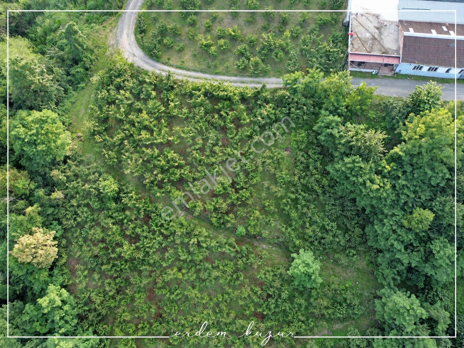 Trabzon Akçaabat Derecik Uğurlu'da Satılık 1.480 M2 Arazi — fotoğraf 15