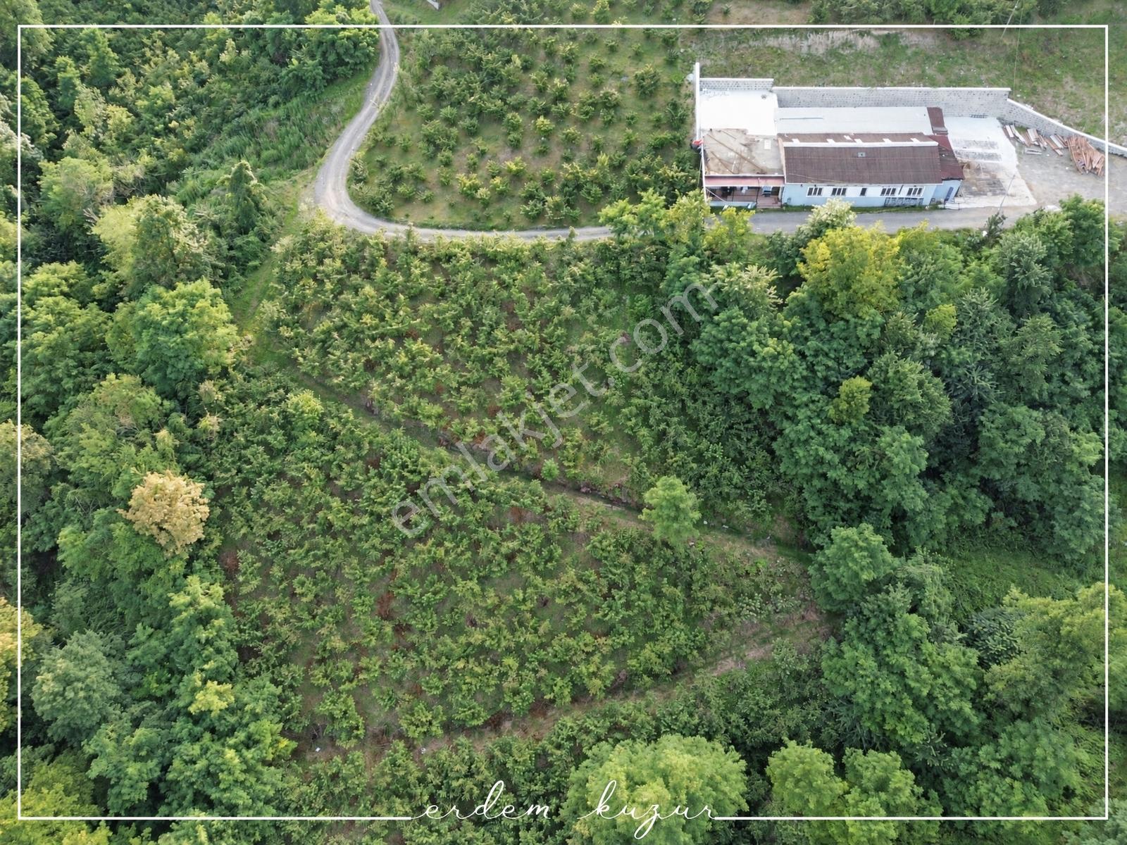 Trabzon Akçaabat Derecik Uğurlu'da Satılık 1.480 M2 Arazi — fotoğraf 16