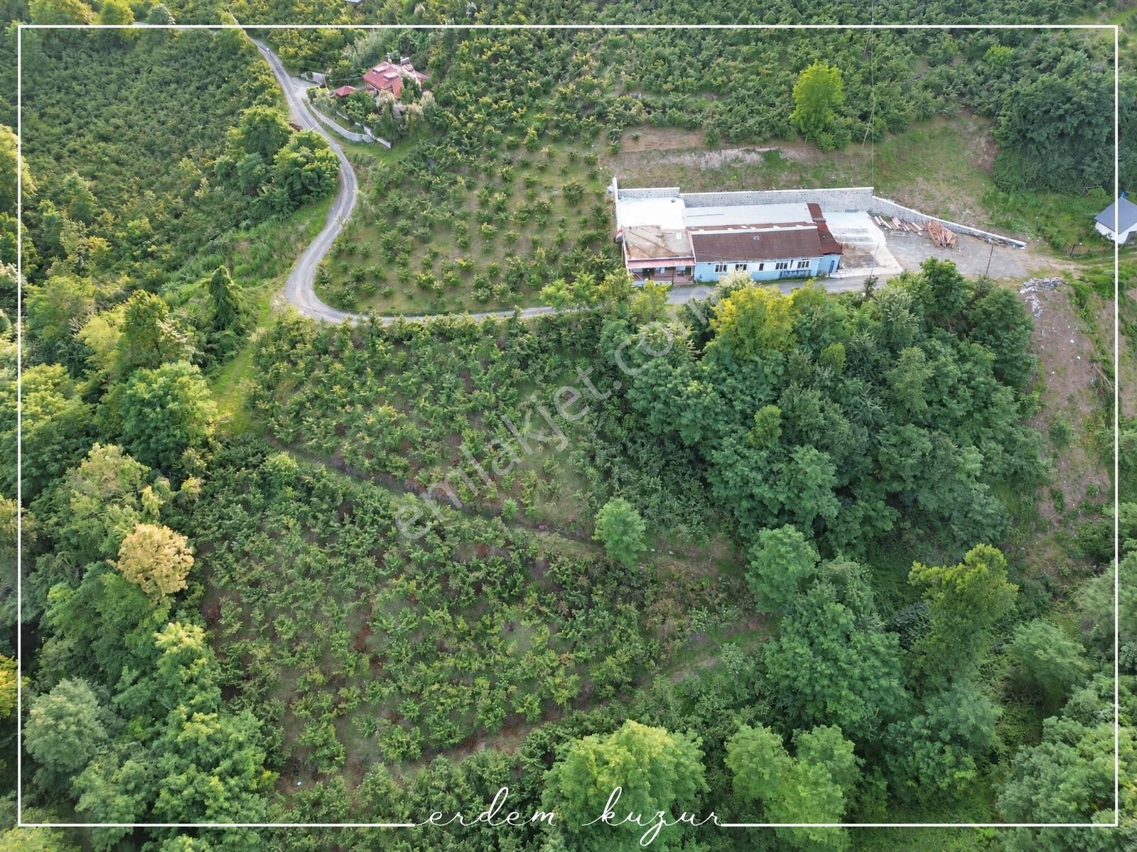 Trabzon Akçaabat Derecik Uğurlu'da Satılık 1.480 M2 Arazi — fotoğraf 17