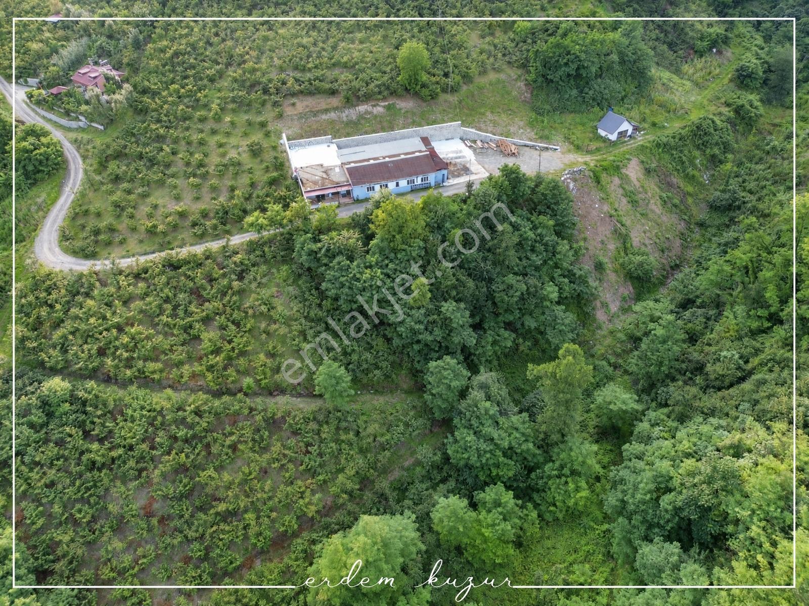 Trabzon Akçaabat Derecik Uğurlu'da Satılık 1.480 M2 Arazi — fotoğraf 18