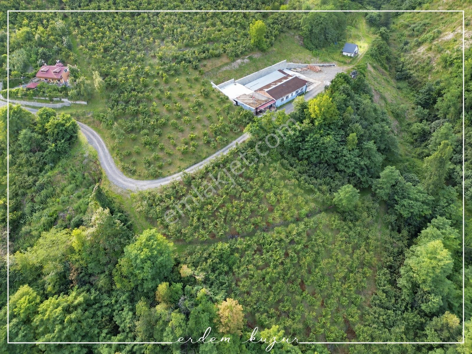 Trabzon Akçaabat Derecik Uğurlu'da Satılık 1.480 M2 Arazi — fotoğraf 19