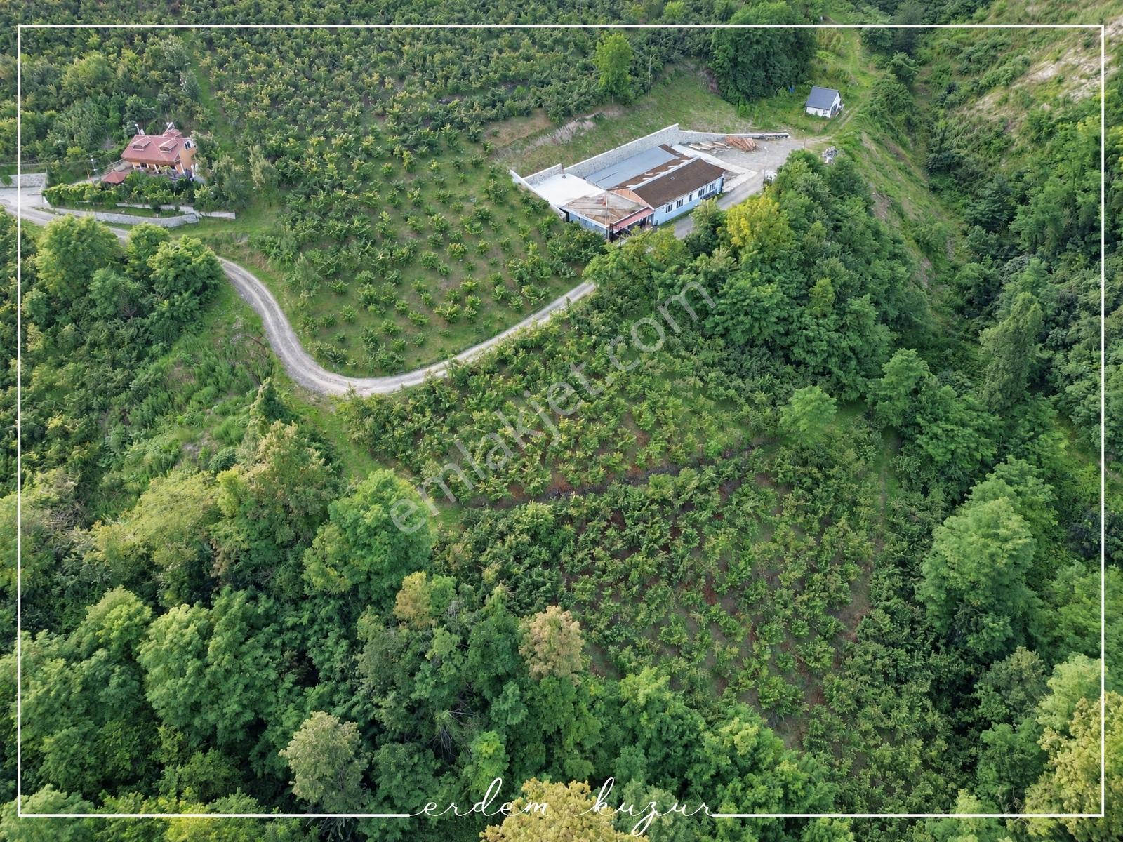 Trabzon Akçaabat Derecik Uğurlu'da Satılık 1.480 M2 Arazi — fotoğraf 20