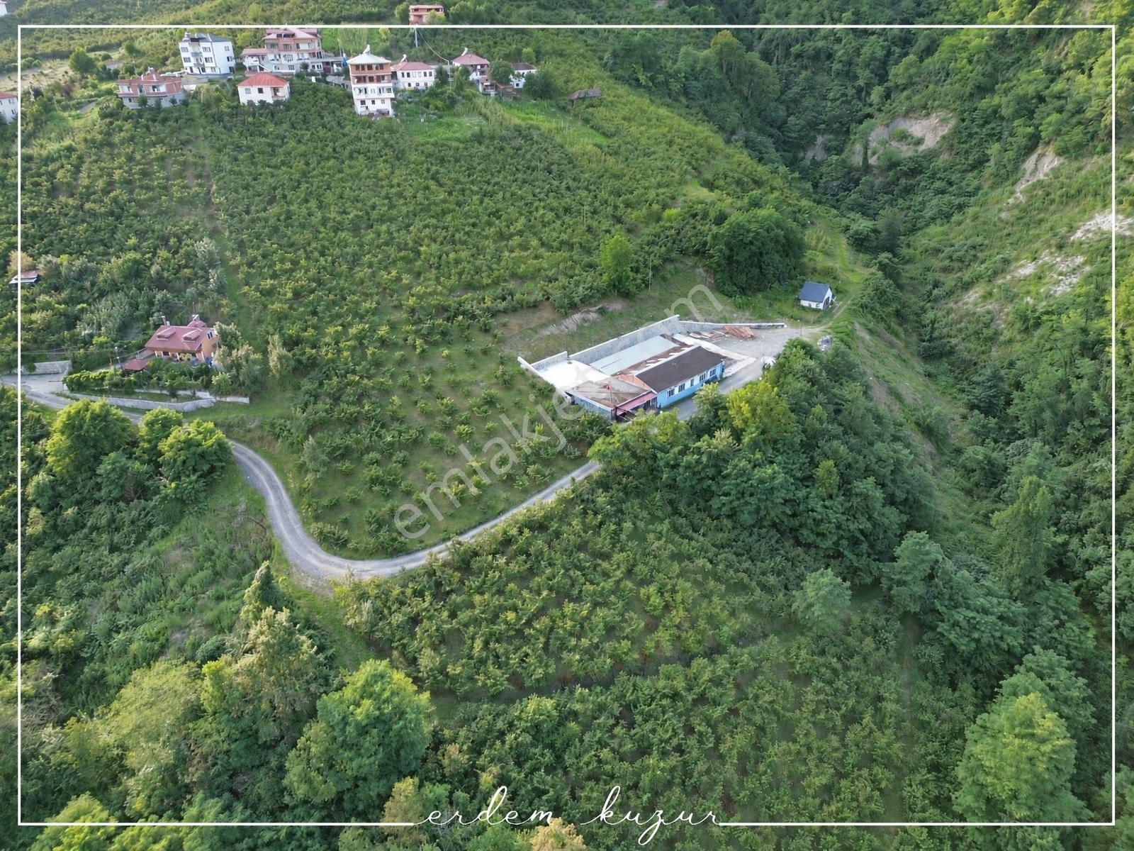 Trabzon Akçaabat Derecik Uğurlu'da Satılık 1.480 M2 Arazi — fotoğraf 21