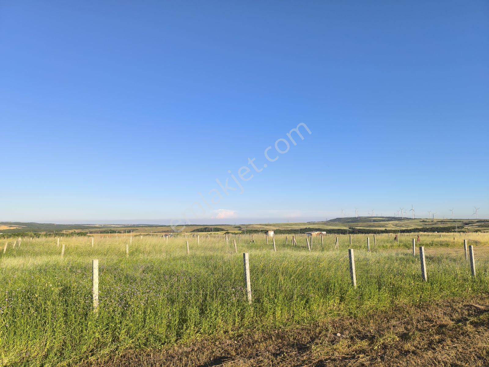 Silivri Balaban'da Villa Projeler Merkezinde 300 M² Yatırımlık — fotoğraf 2