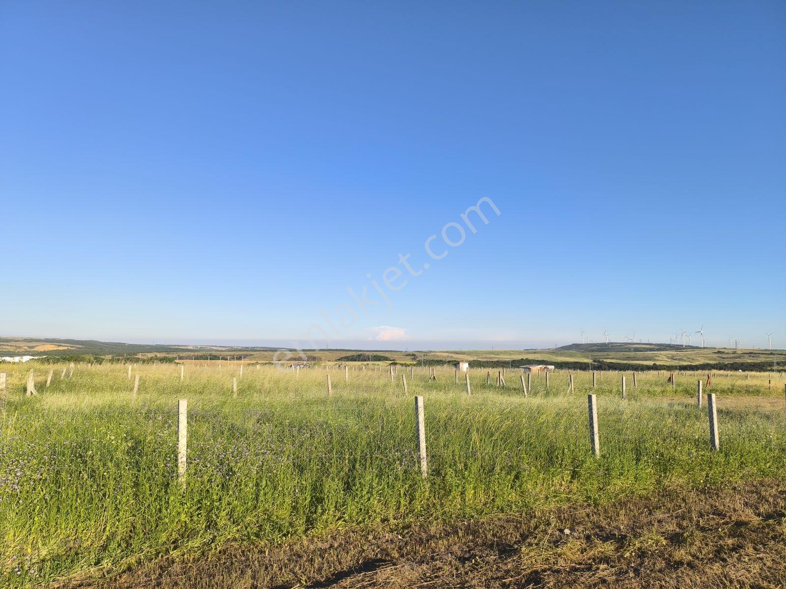 Silivri Balaban'da Villa Projeler Merkezinde 300 M² Yatırımlık — fotoğraf 3