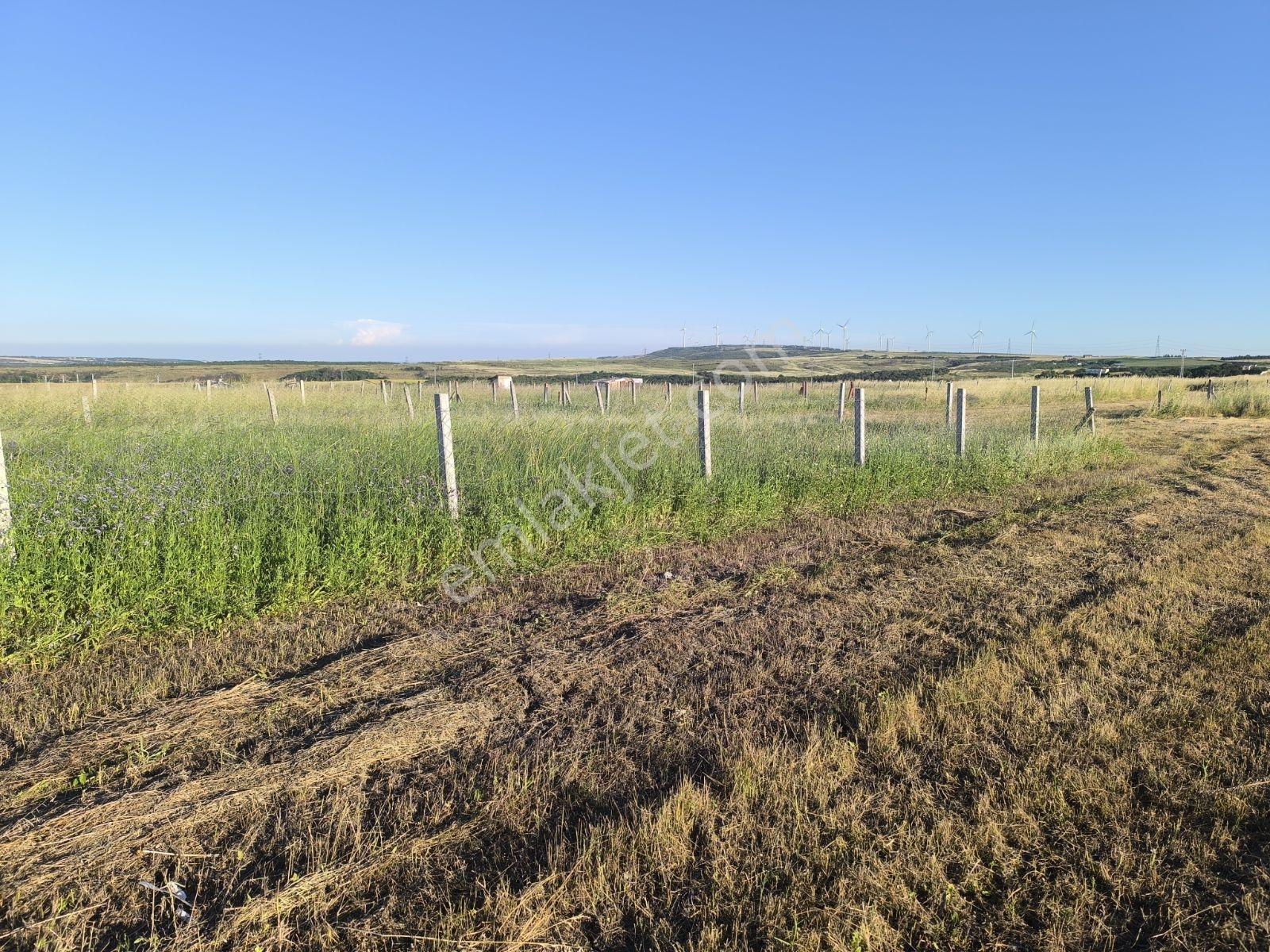 Silivri Balaban'da Villa Projeler Merkezinde 300 M² Yatırımlık — fotoğraf 4