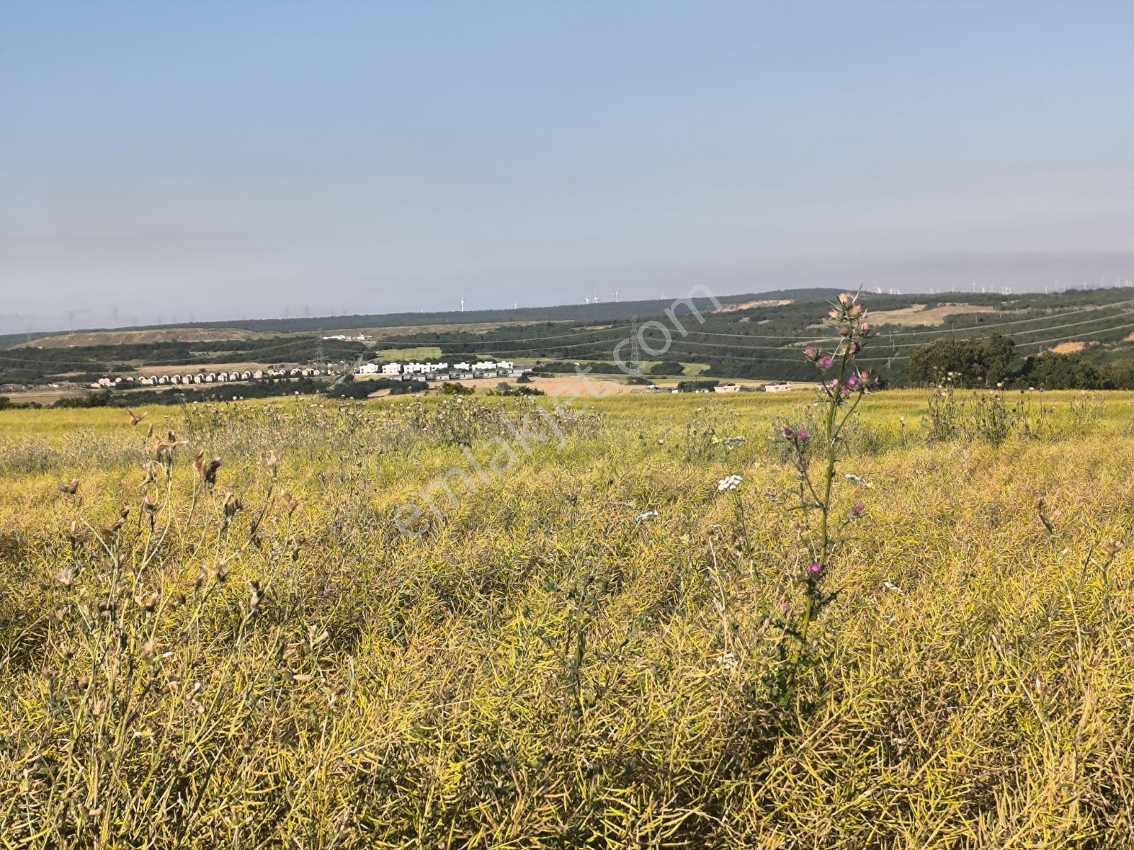 Silivri Balaban'da Villa Projeler Merkezinde 300 M² Yatırımlık — fotoğraf 8