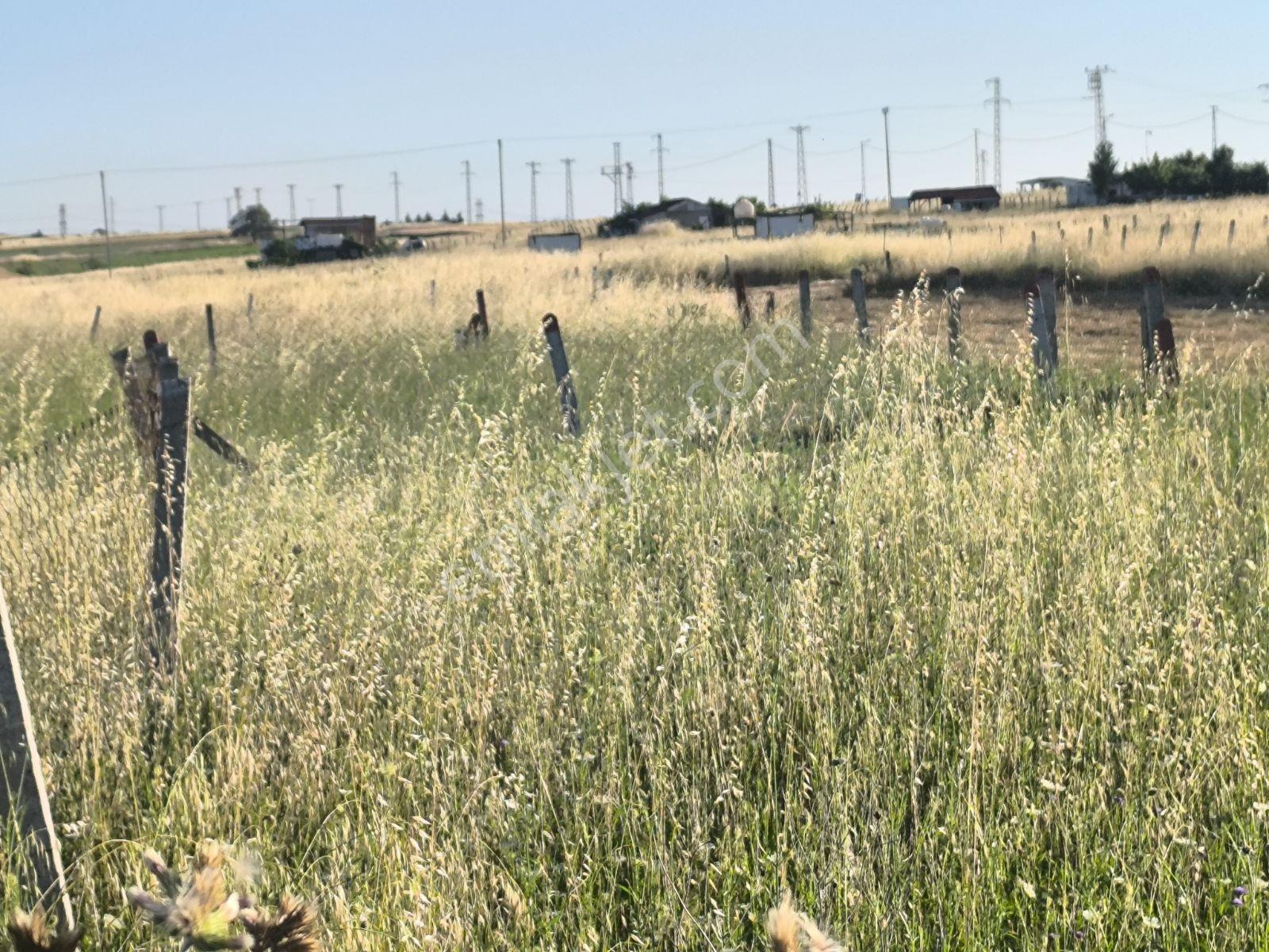 Silivri Balaban'da Villa Projeler Merkezinde 300 M² Yatırımlık — fotoğraf 10