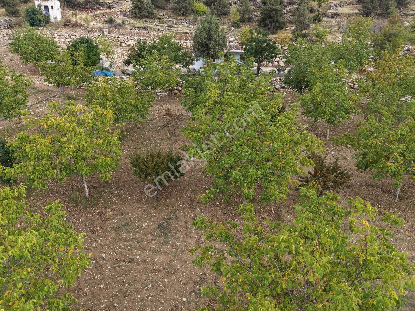 Yeni Rota'dan Dulkadiroğlu Kılağlı Mahallesi 7608 M² Satılık Bağ — fotoğraf 20