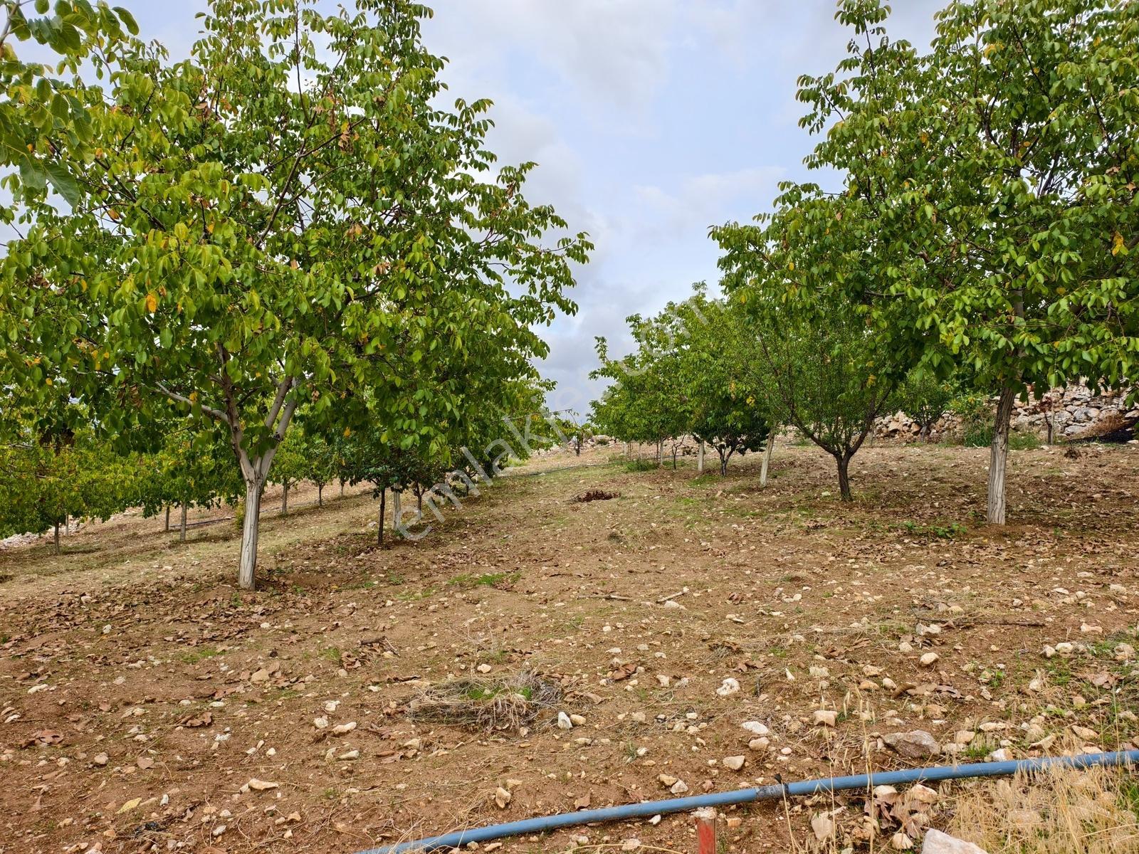 Yeni Rota'dan Dulkadiroğlu Kılağlı Mahallesi 7608 M² Satılık Bağ — fotoğraf 26