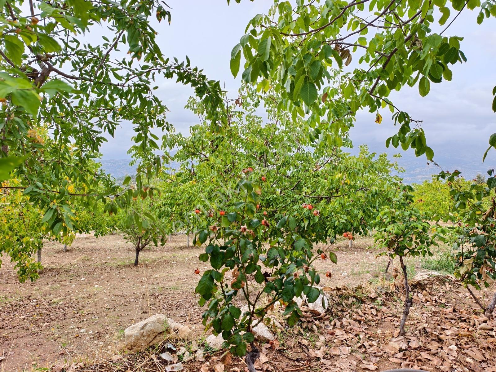 Yeni Rota'dan Dulkadiroğlu Kılağlı Mahallesi 7608 M² Satılık Bağ — fotoğraf 28