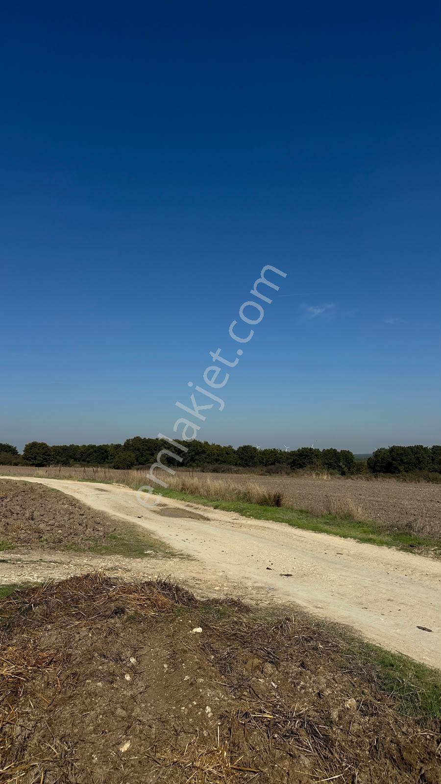 Silivri Çayırderede 4.833 M² Köşe Konumlu Yatırımlık Tarla — fotoğraf 2