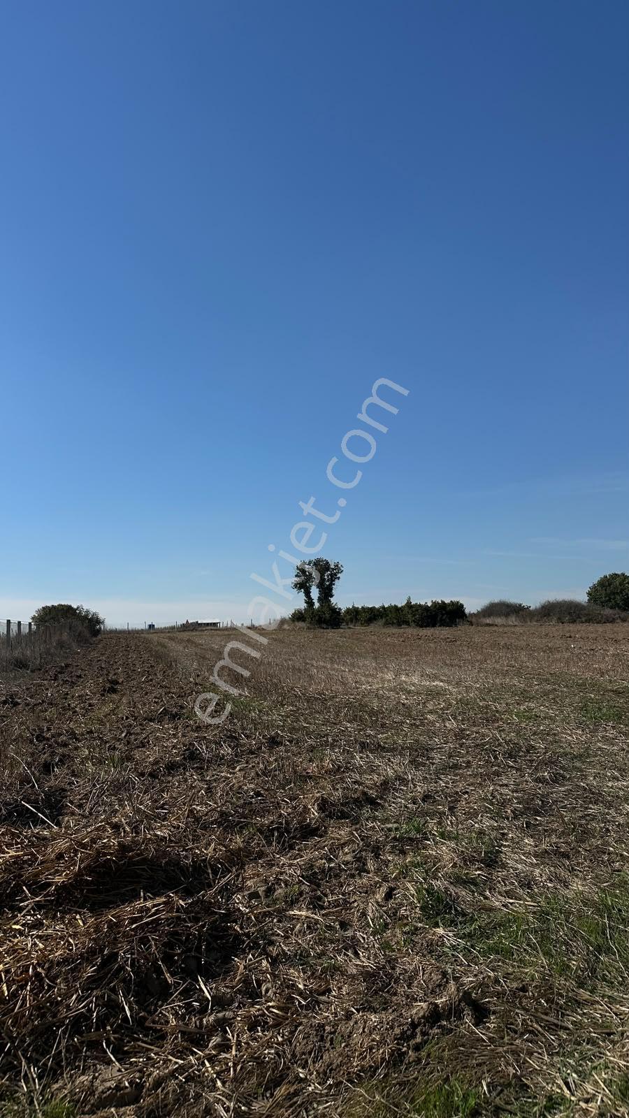 Silivri Çayırderede 4.833 M² Köşe Konumlu Yatırımlık Tarla — fotoğraf 3