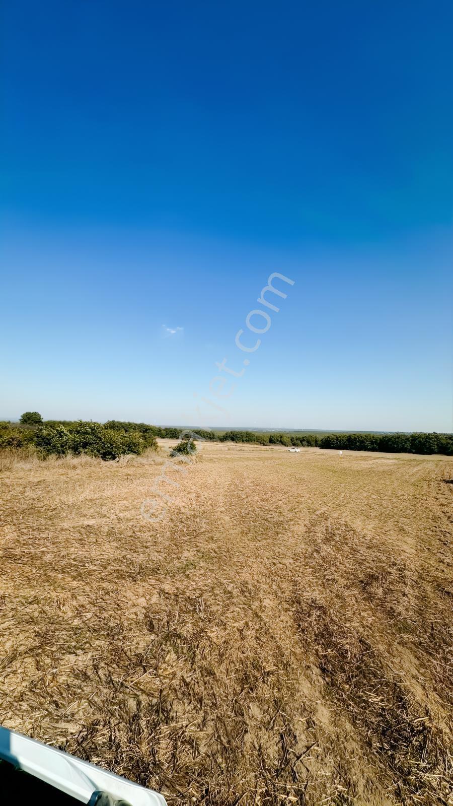 Silivri Çayırderede 4.833 M² Köşe Konumlu Yatırımlık Tarla — fotoğraf 4