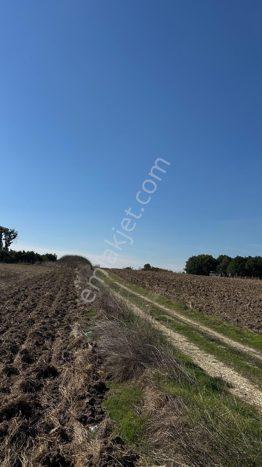 Silivri Çayırderede 4.833 M² Köşe Konumlu Yatırımlık Tarla — fotoğraf 6