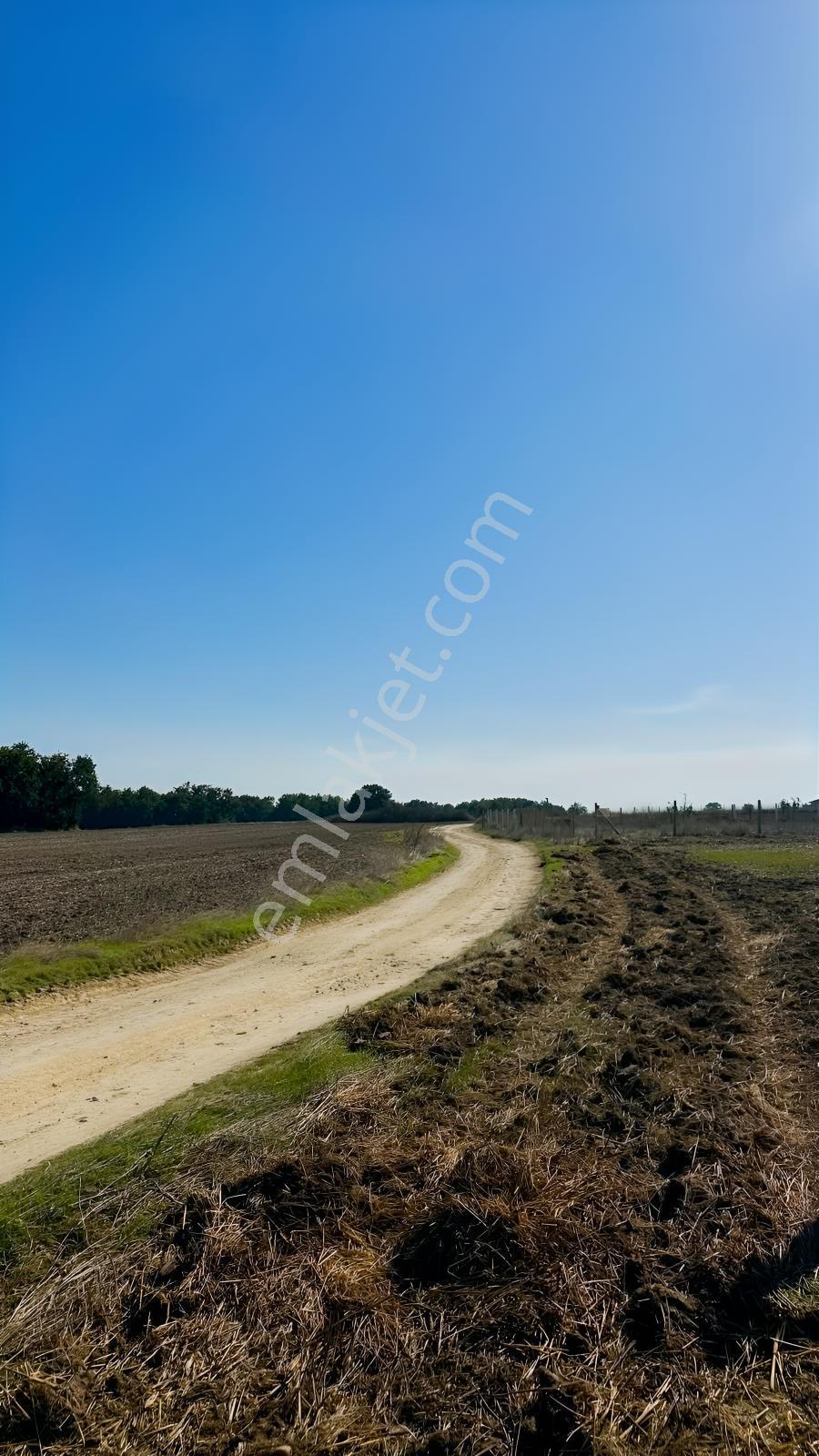 Silivri Çayırderede 4.833 M² Köşe Konumlu Yatırımlık Tarla — fotoğraf 7