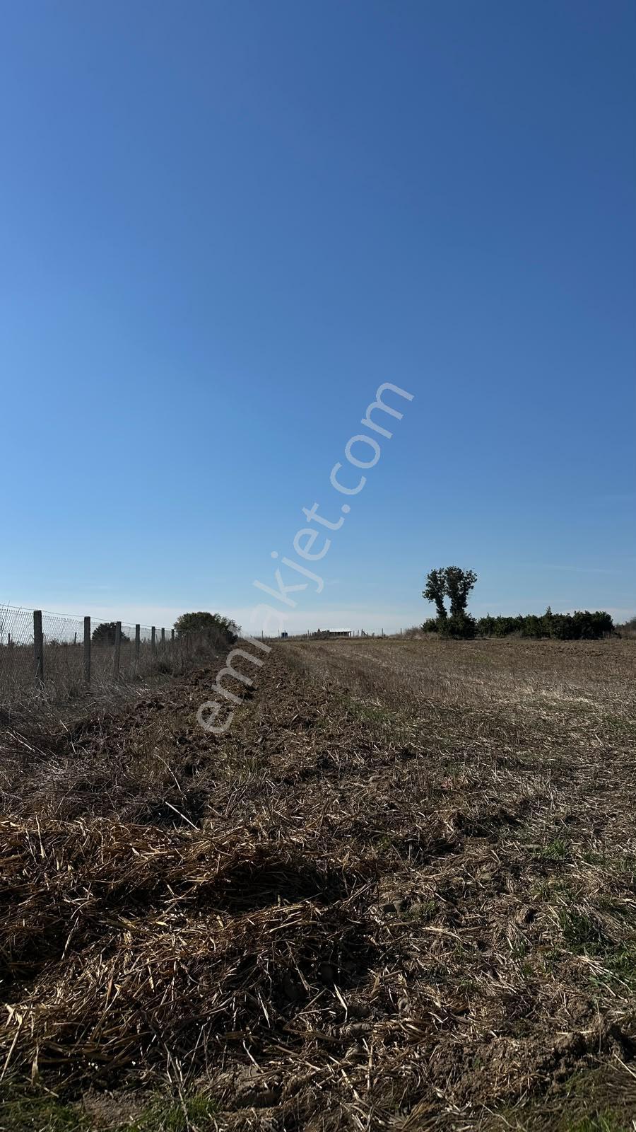 Silivri Çayırderede 4.833 M² Köşe Konumlu Yatırımlık Tarla — fotoğraf 8