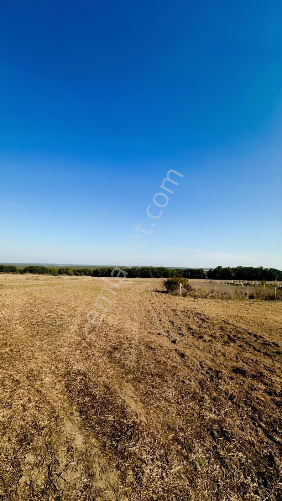 Silivri Çayırderede 4.833 M² Köşe Konumlu Yatırımlık Tarla — fotoğraf 9