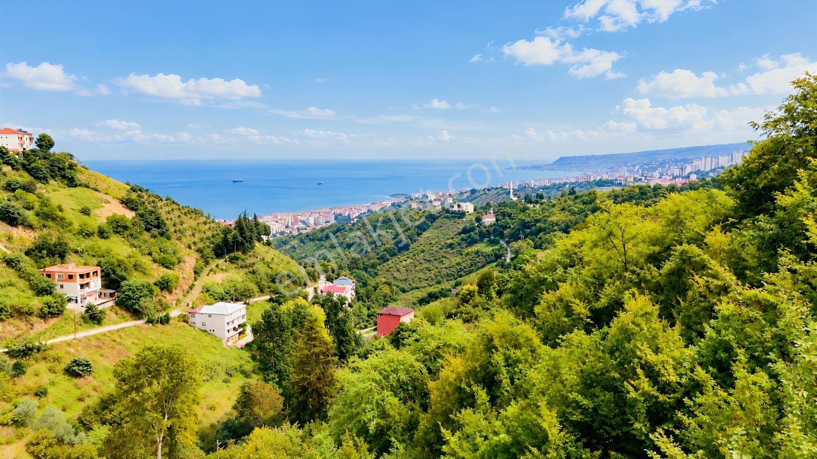Akçaabat Orta Mahallede Yatırımlık 8 Dönüm Arazi!