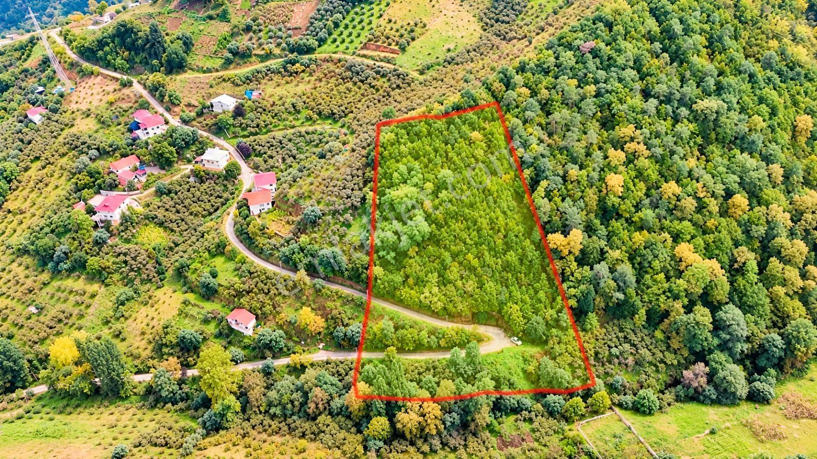 Akçaabat Orta Mahallede Yatırımlık 8 Dönüm Arazi! — fotoğraf 3