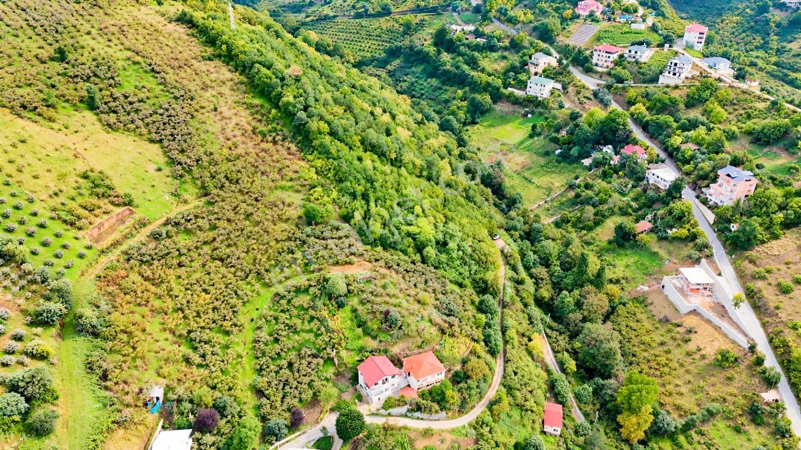 Akçaabat Orta Mahallede Yatırımlık 8 Dönüm Arazi! — fotoğraf 4