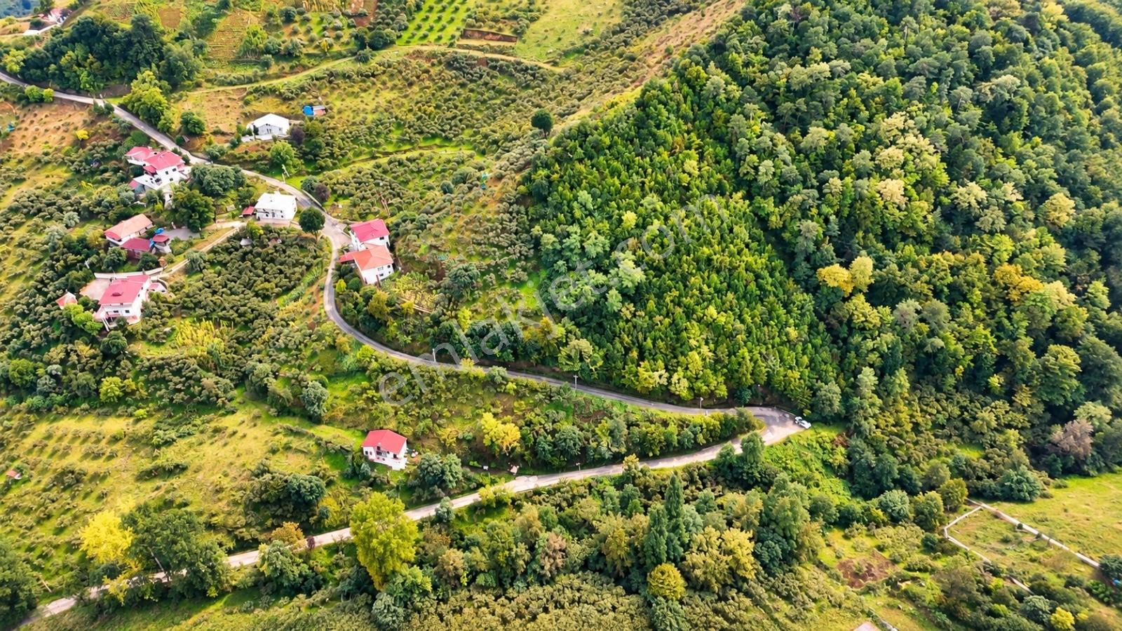 Akçaabat Orta Mahallede Yatırımlık 8 Dönüm Arazi! — fotoğraf 5