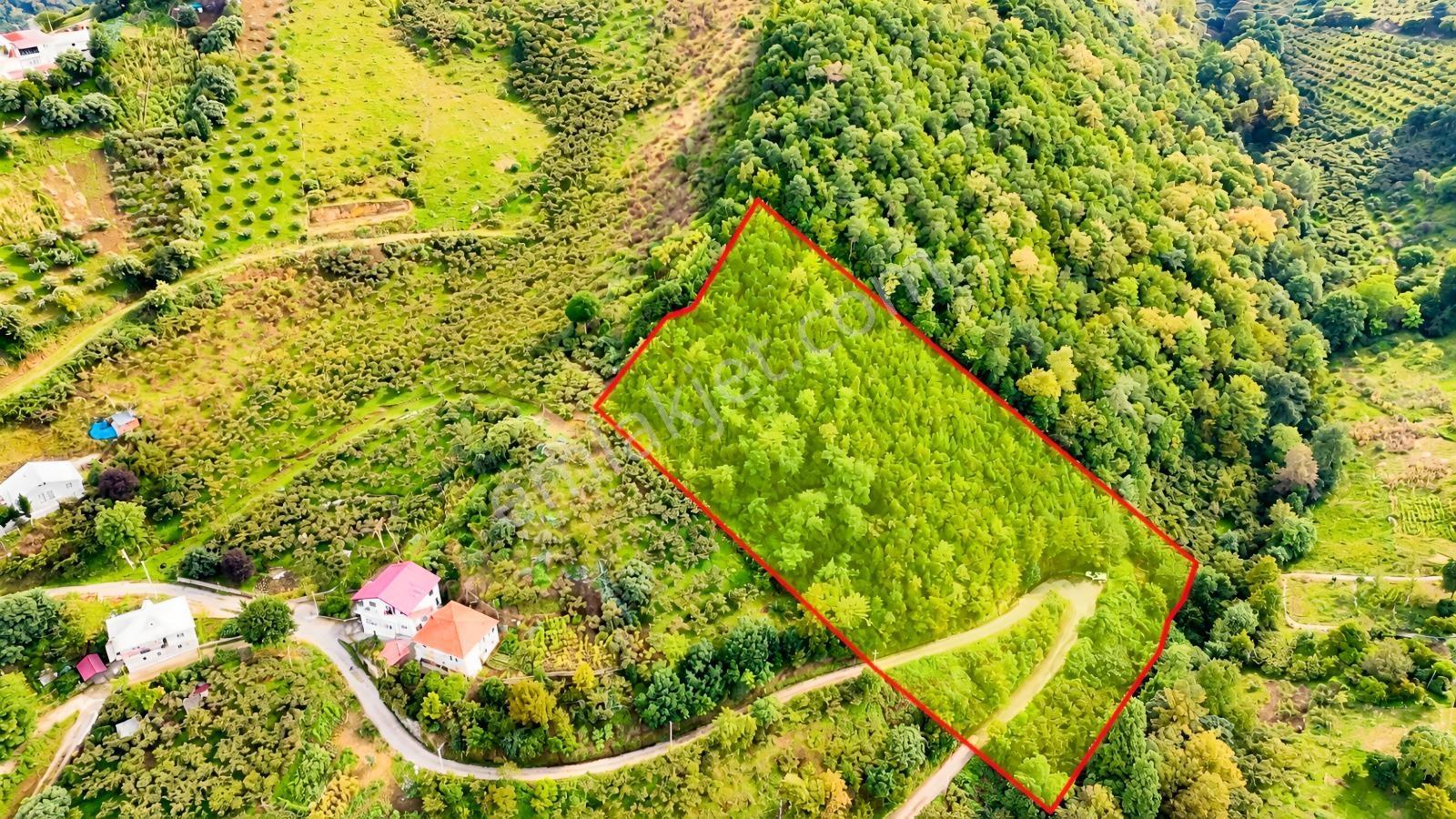 Akçaabat Orta Mahallede Yatırımlık 8 Dönüm Arazi! — fotoğraf 7