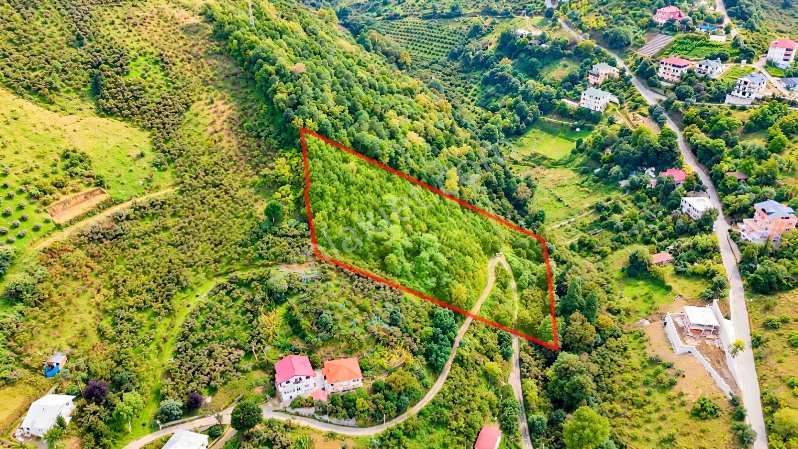 Akçaabat Orta Mahallede Yatırımlık 8 Dönüm Arazi! — fotoğraf 8