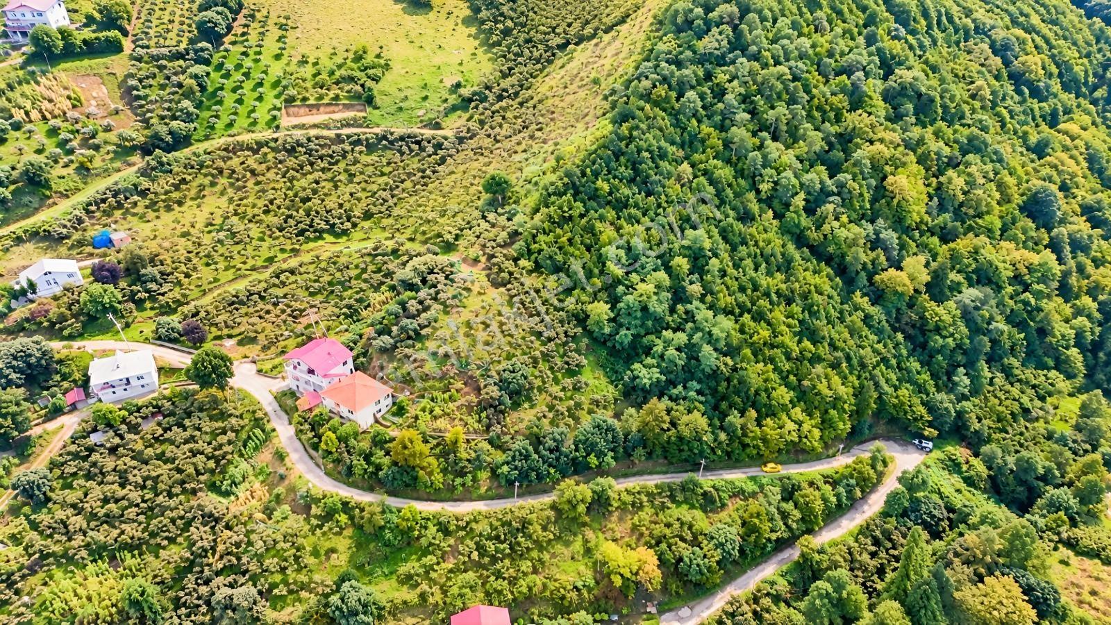 Akçaabat Orta Mahallede Yatırımlık 8 Dönüm Arazi! — fotoğraf 9