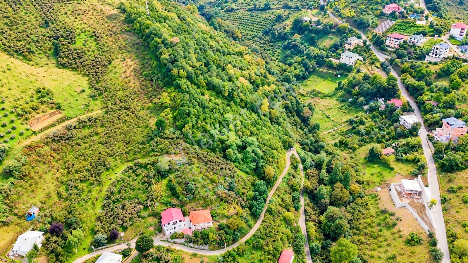 Akçaabat Orta Mahallede Yatırımlık 8 Dönüm Arazi! — fotoğraf 10