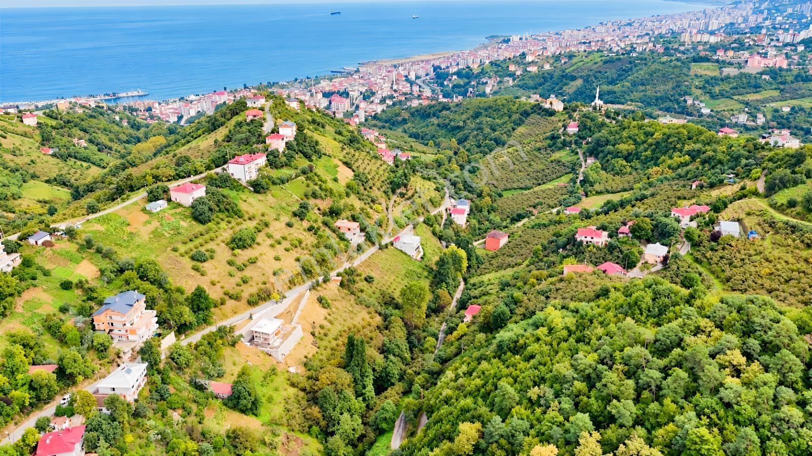 Akçaabat Orta Mahallede Yatırımlık 8 Dönüm Arazi! — fotoğraf 11