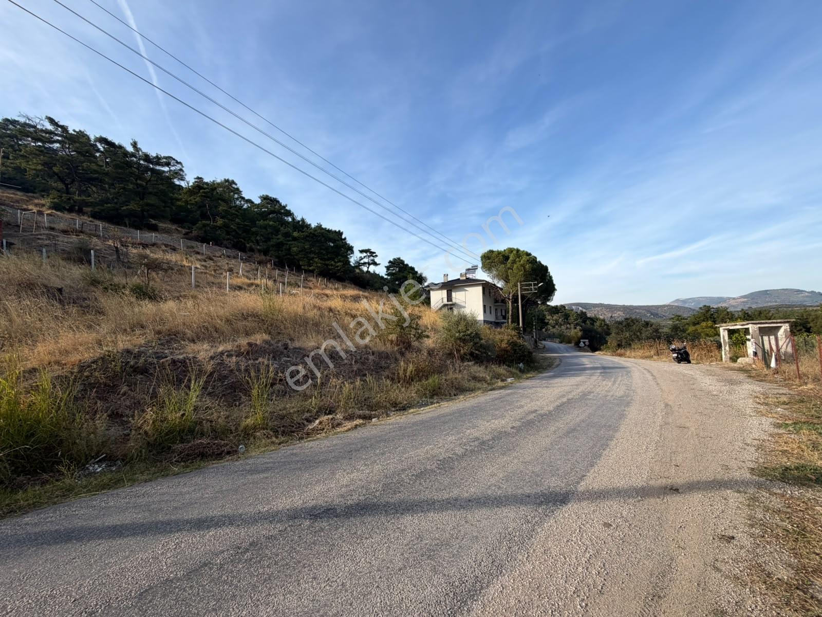 Durmuşoğlundan Havran/köylücede Satılık Fırsat Fiyata Arsa — fotoğraf 21
