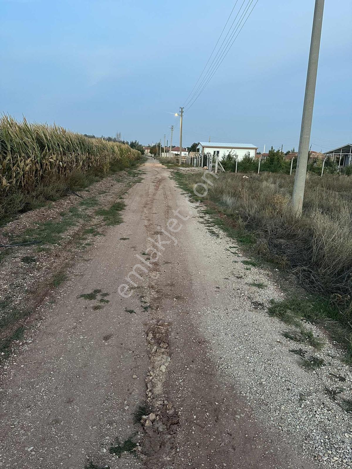 Yollarbaşı Köyünde Köşe Başı Satılık Arsa — fotoğraf 6