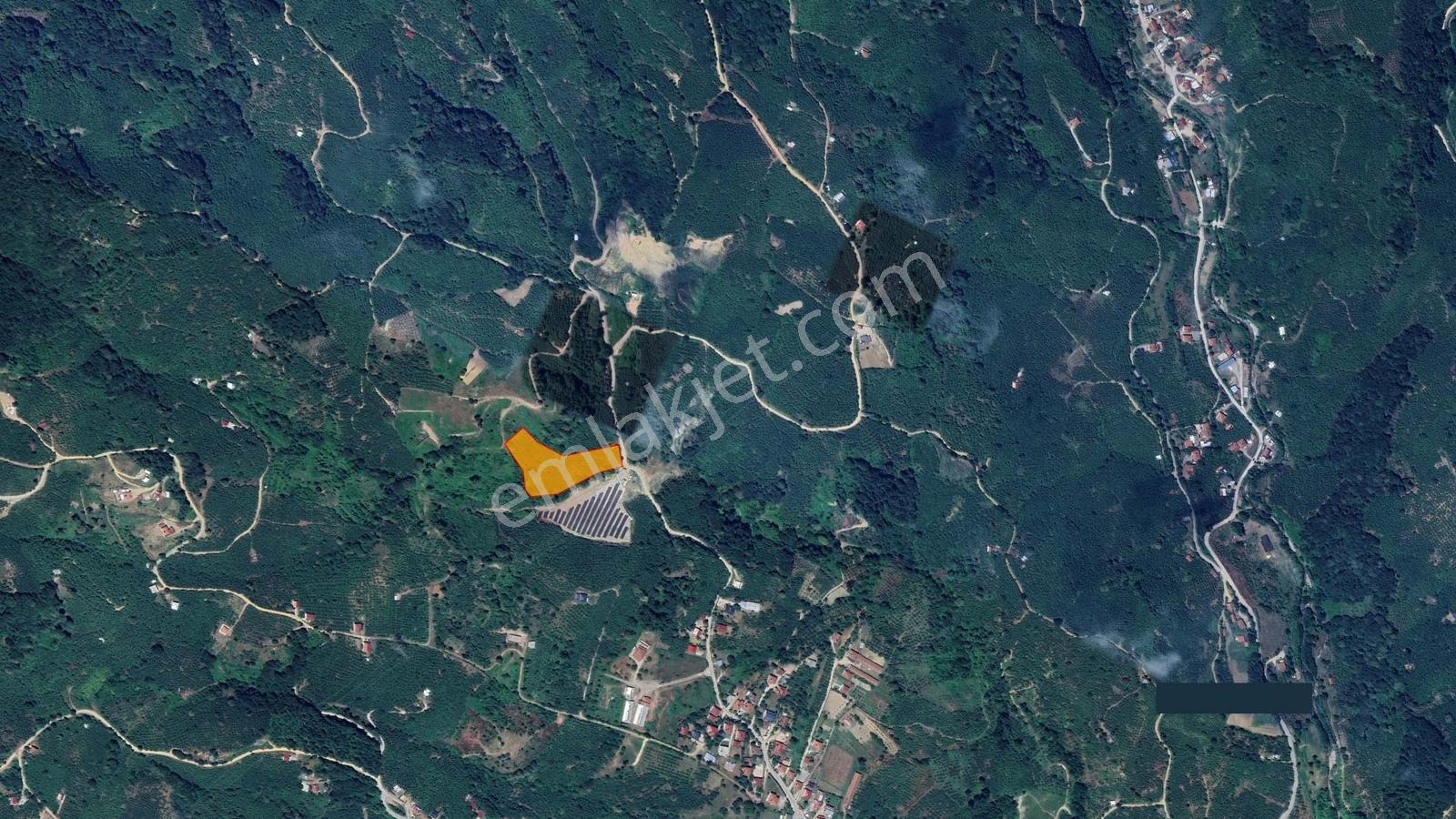 Sakarya Karapürçek Mecidiye'de Satılık 9644 M2 -fındıklık- Tarla — fotoğraf 2