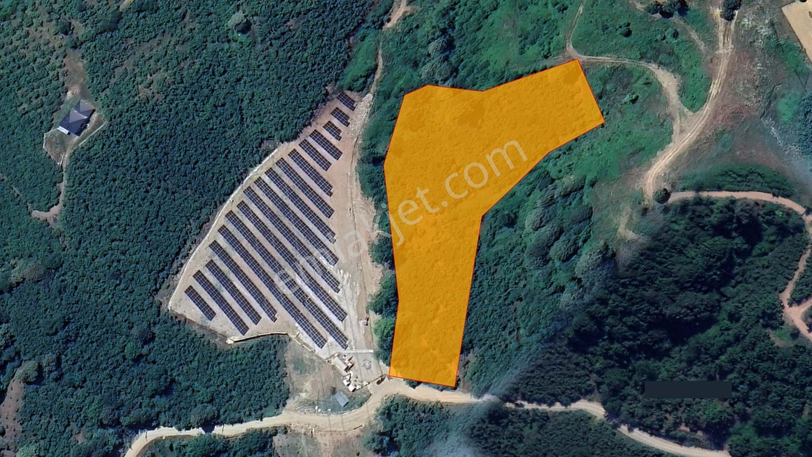 Sakarya Karapürçek Mecidiye'de Satılık 9644 M2 -fındıklık- Tarla — fotoğraf 3