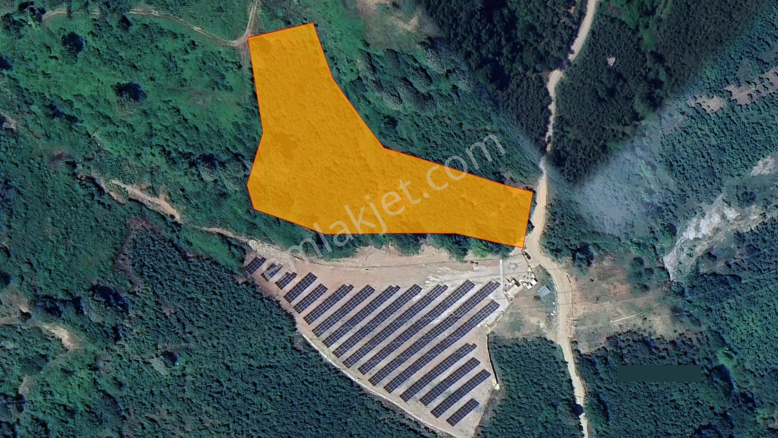Sakarya Karapürçek Mecidiye'de Satılık 9644 M2 -fındıklık- Tarla — fotoğraf 4