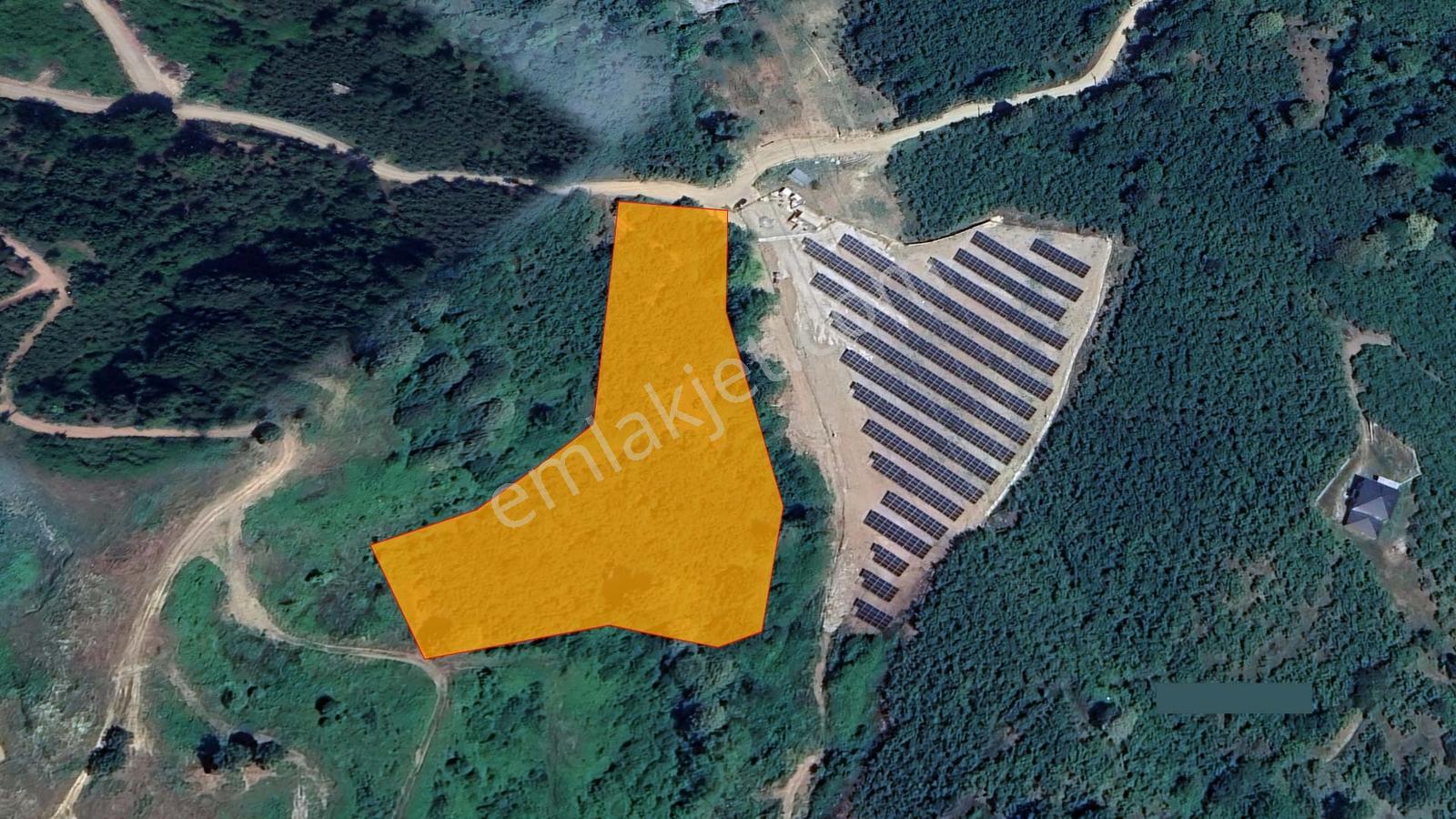 Sakarya Karapürçek Mecidiye'de Satılık 9644 M2 -fındıklık- Tarla — fotoğraf 5