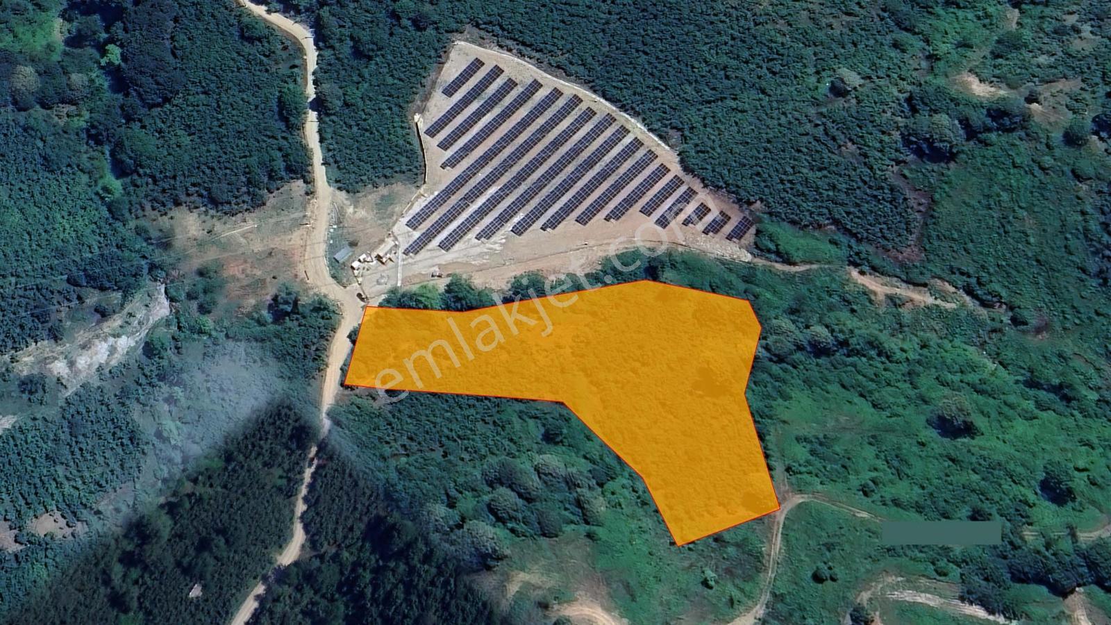 Sakarya Karapürçek Mecidiye'de Satılık 9644 M2 -fındıklık- Tarla — fotoğraf 6