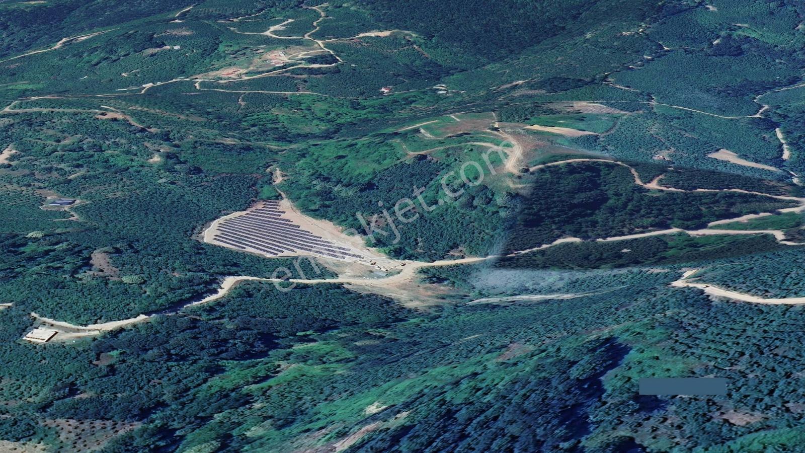 Sakarya Karapürçek Mecidiye'de Satılık 9644 M2 -fındıklık- Tarla — fotoğraf 7