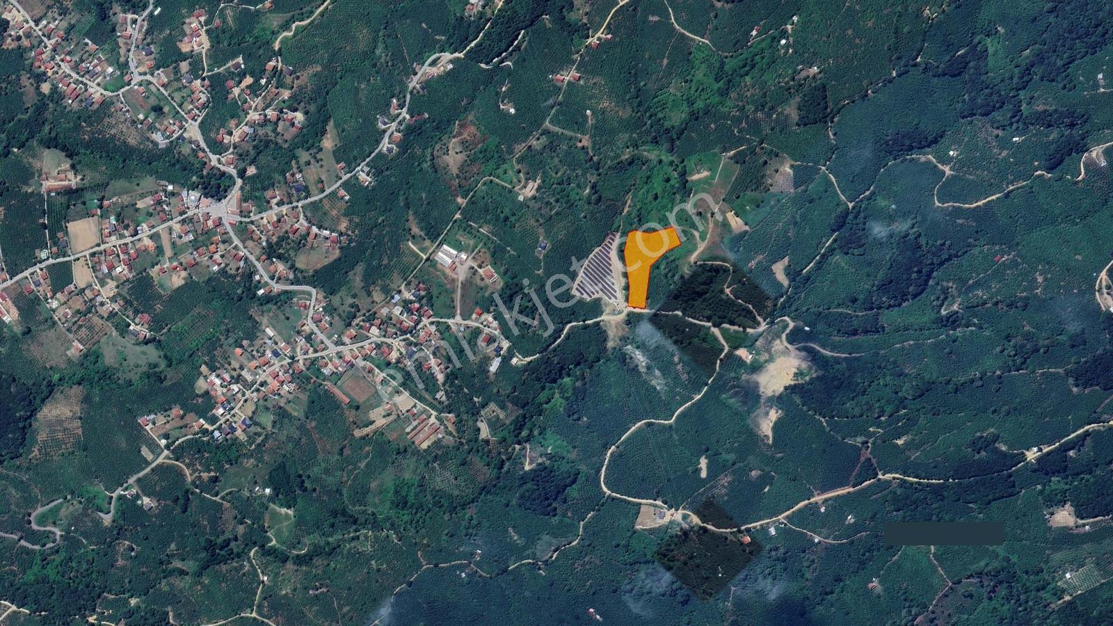 Sakarya Karapürçek Mecidiye'de Satılık 9644 M2 -fındıklık- Tarla — fotoğraf 8